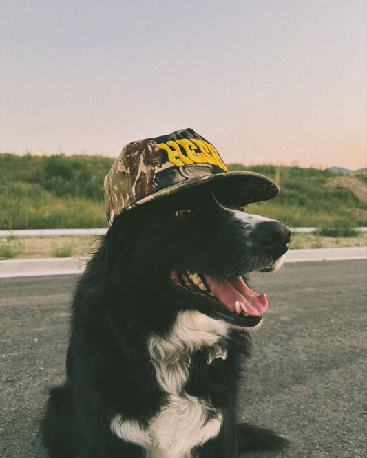 Classic Hesh Camo Hat